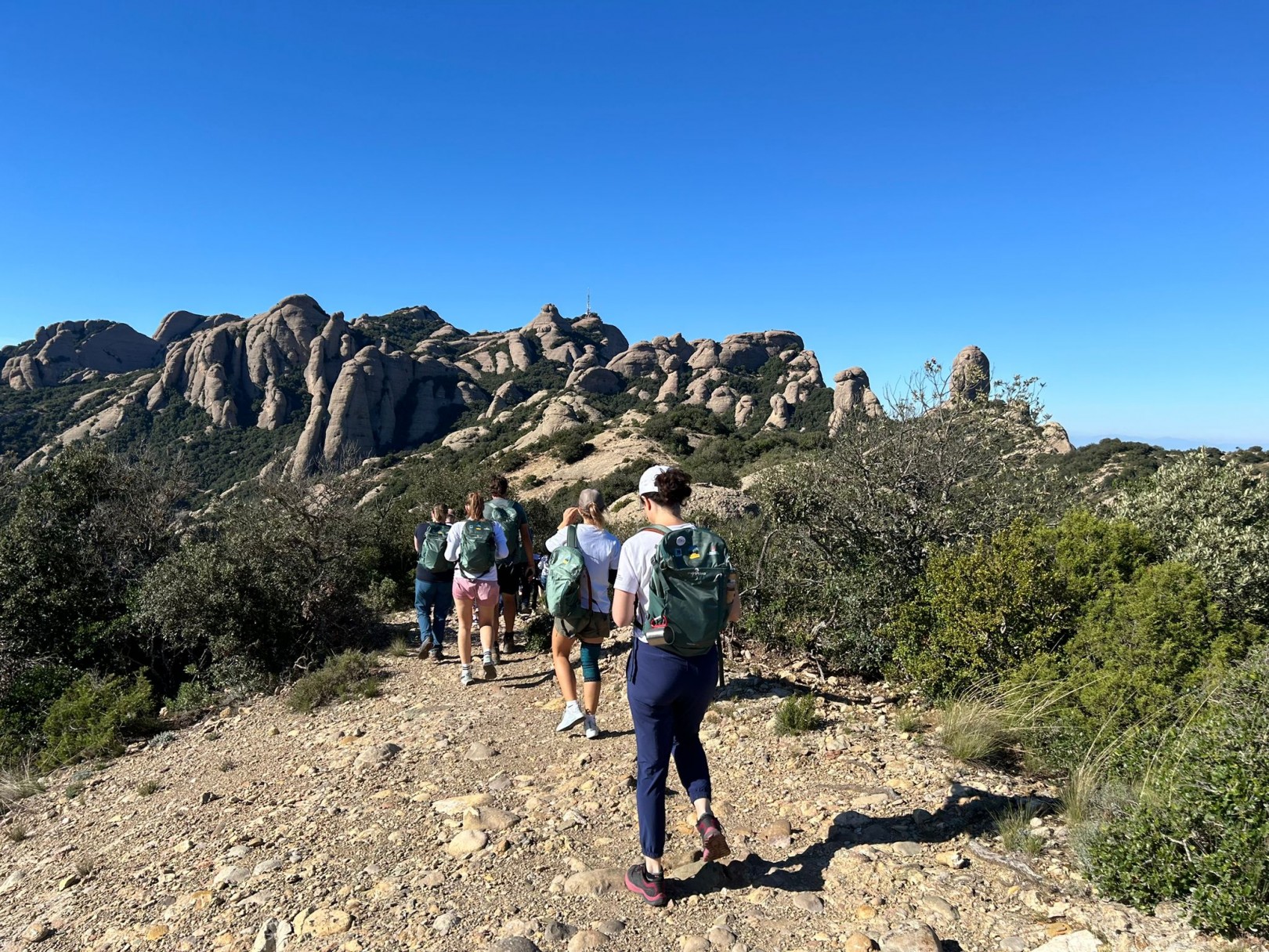 Imatge il·lustrativa