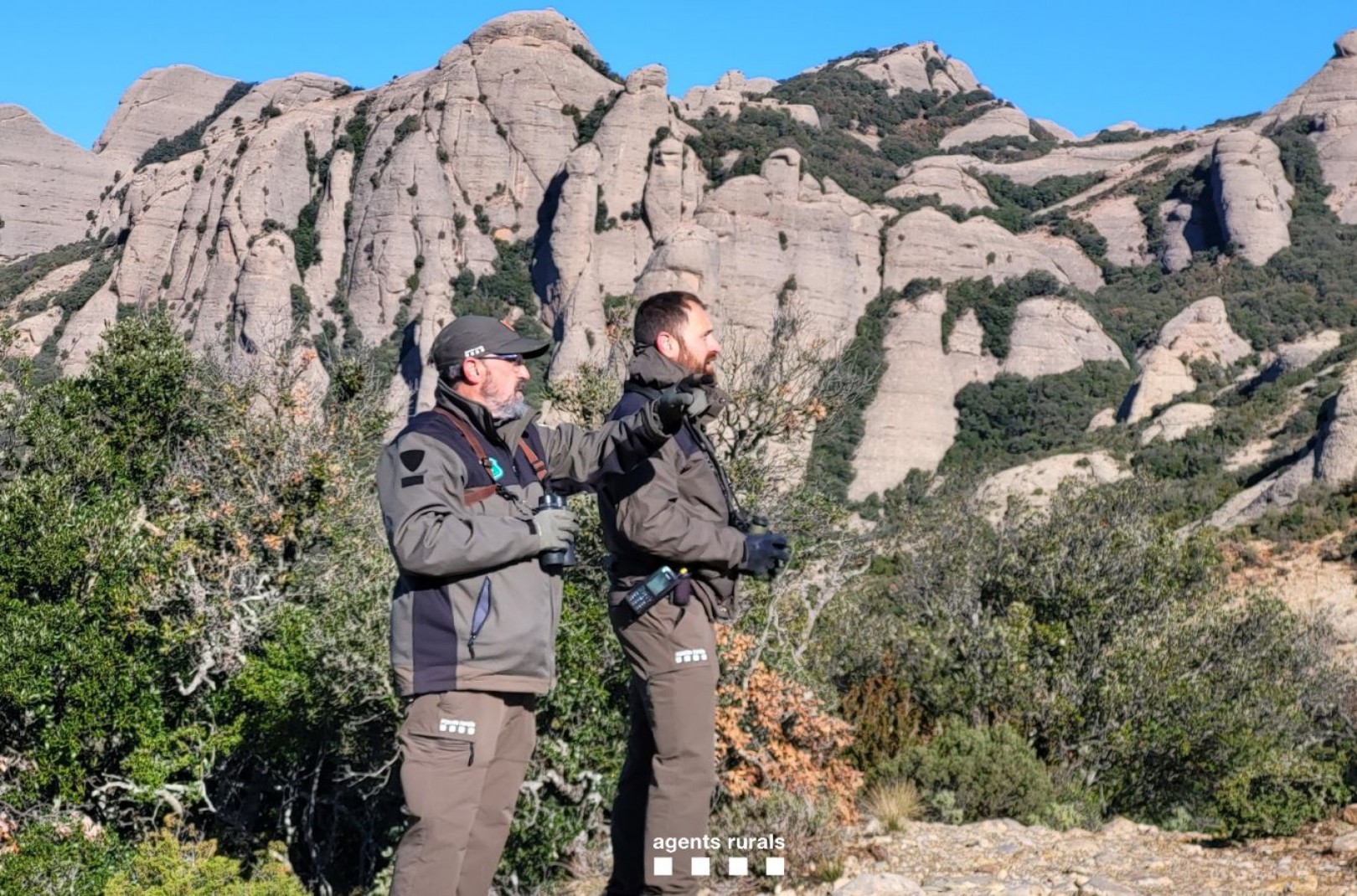 Imatge il·lustrativa