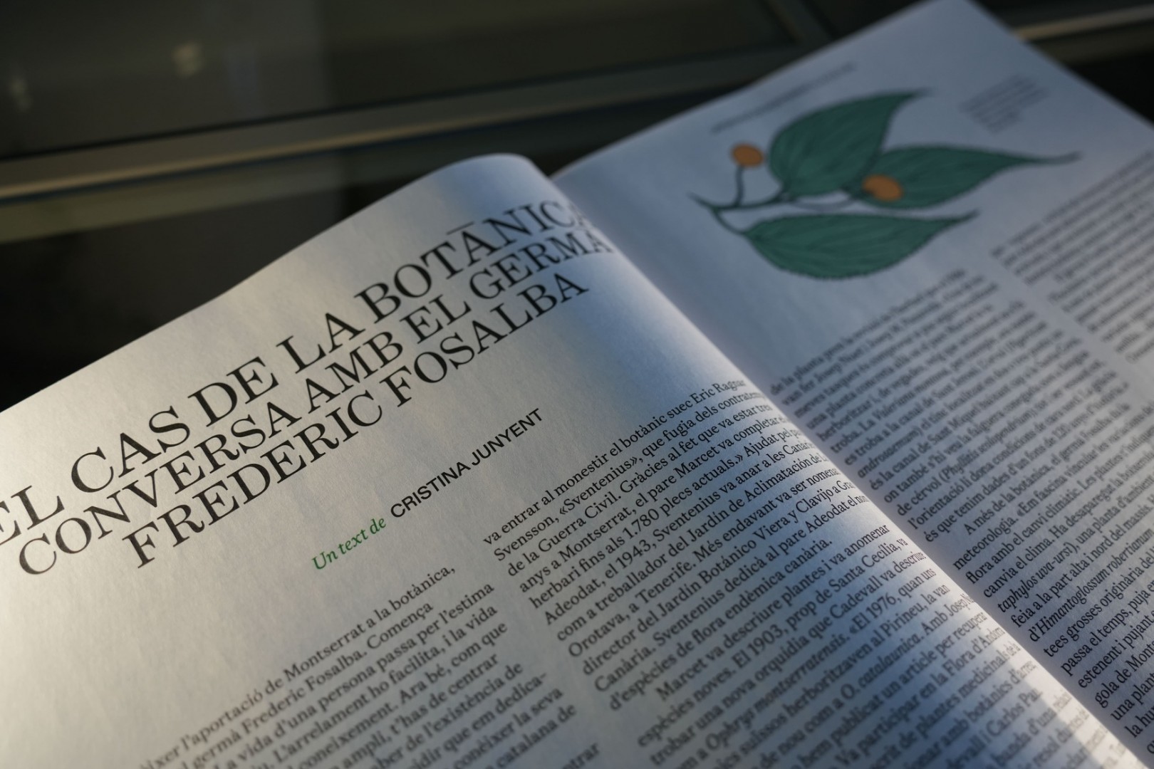 Imatge il·lustrativa