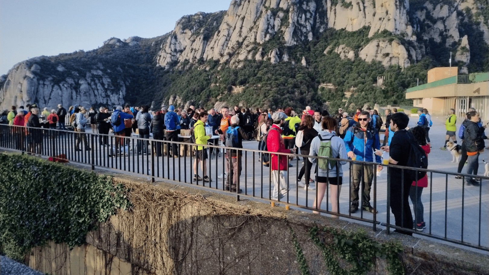 Imatge il·lustrativa