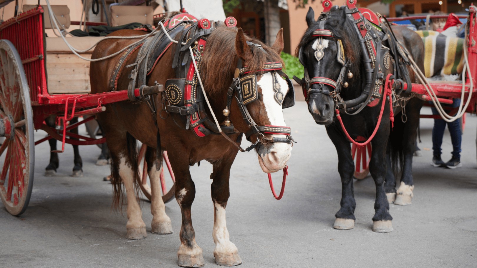 Imatge il·lustrativa