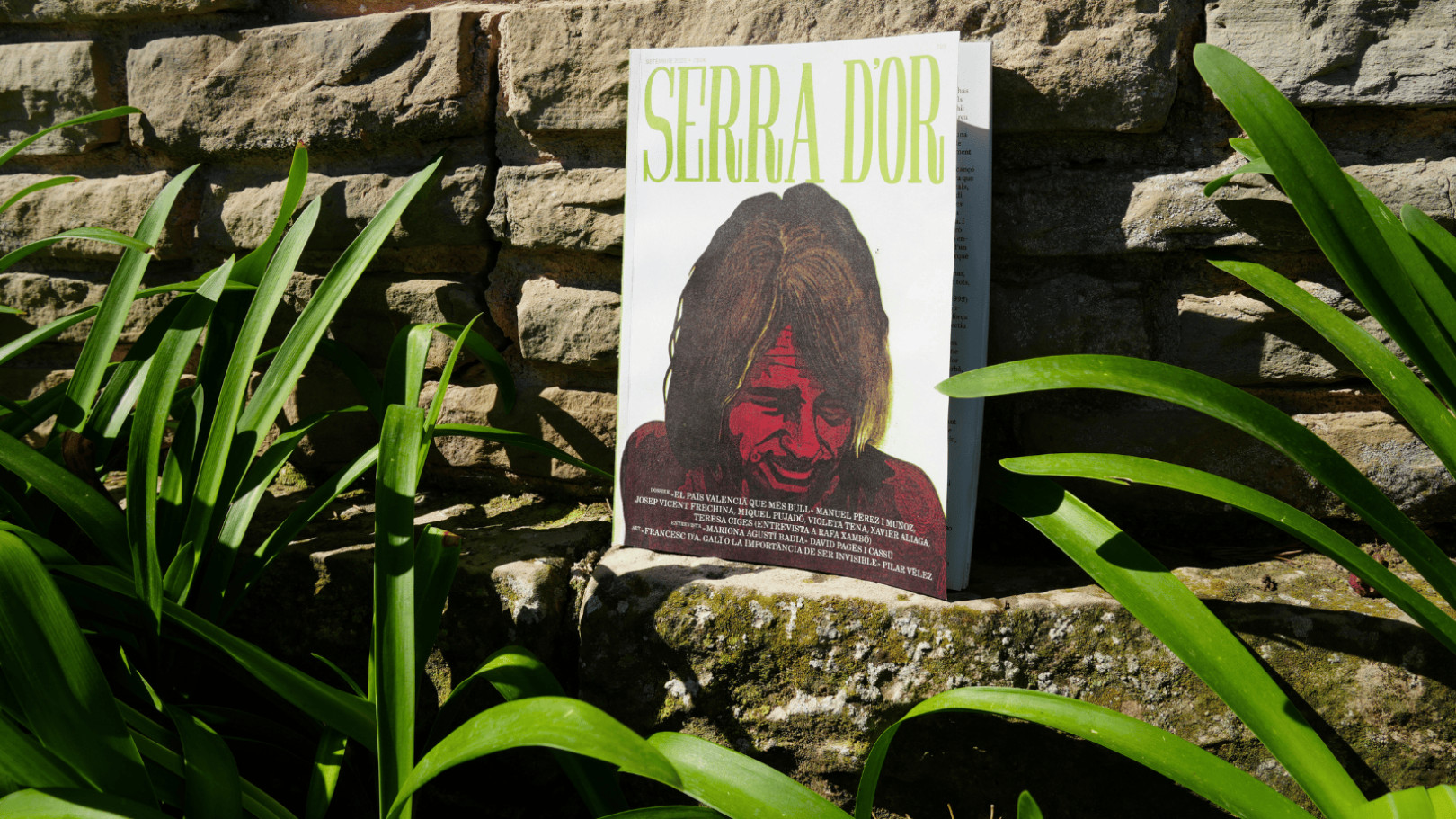 Imatge il·lustrativa