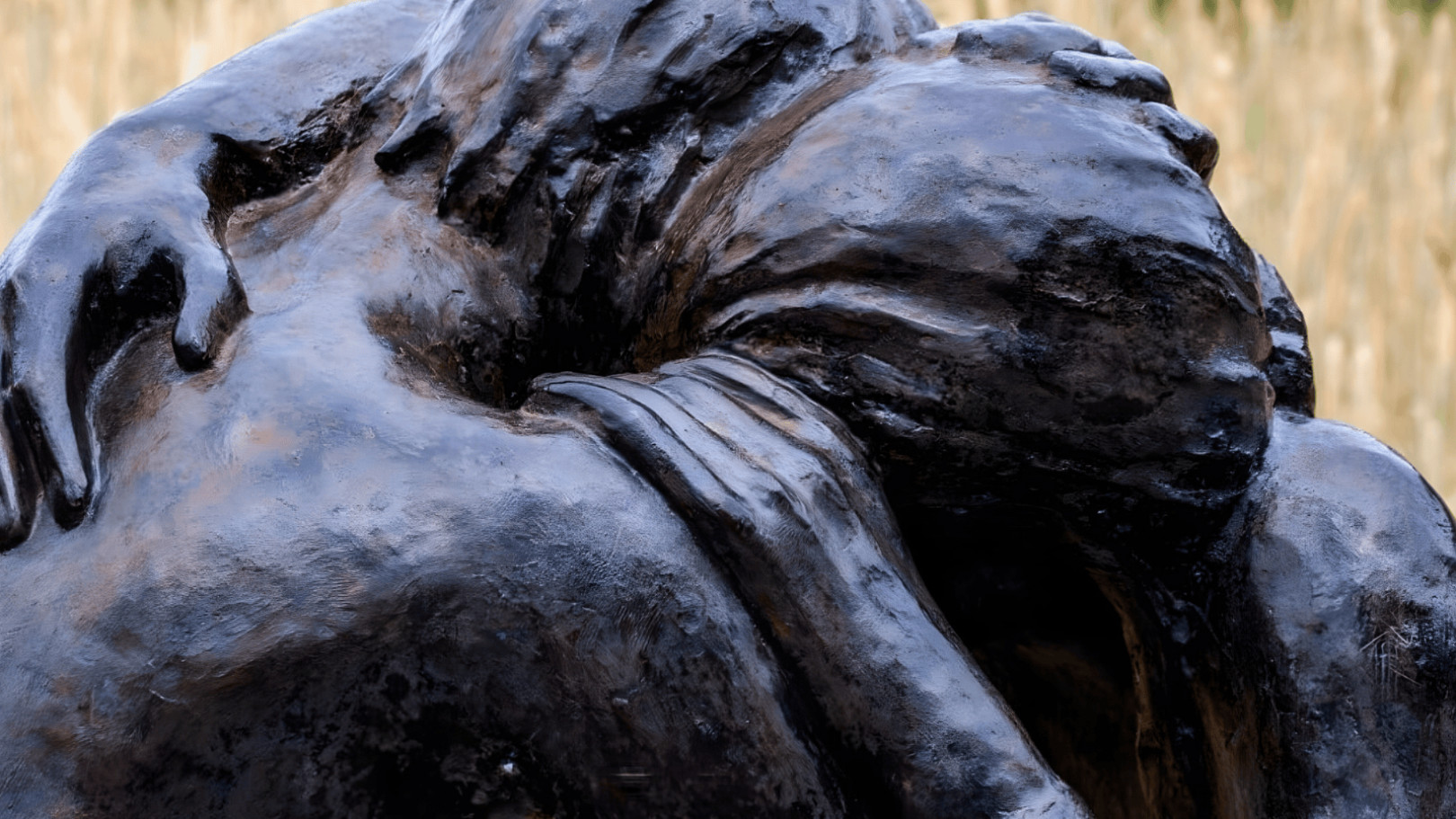 Imatge il·lustrativa