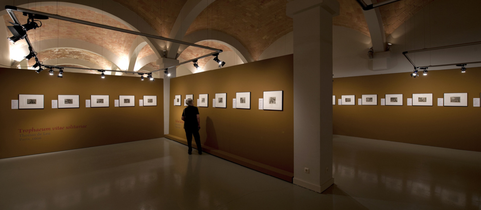 Imatge il·lustrativa
