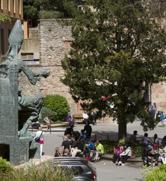 Ayuda económica a entidades sin ánimo de lucro